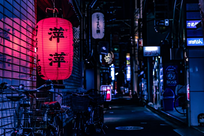 Japanese Discovery
