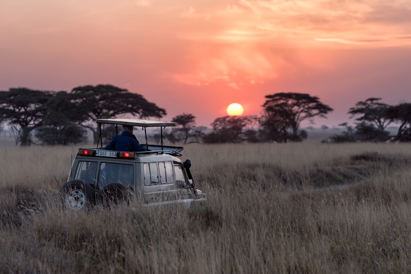 African Safari Grand